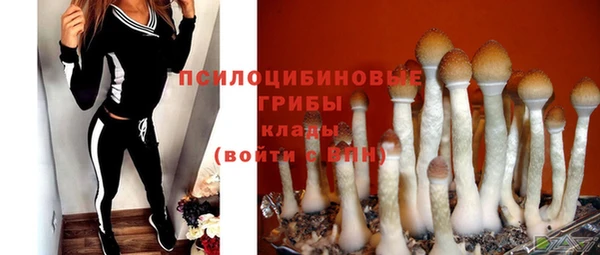 не бодяженный Арсеньев