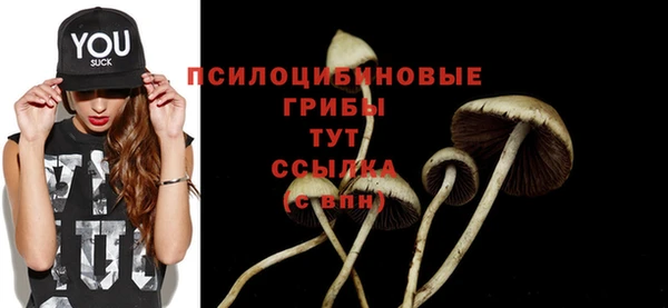 не бодяженный Арсеньев