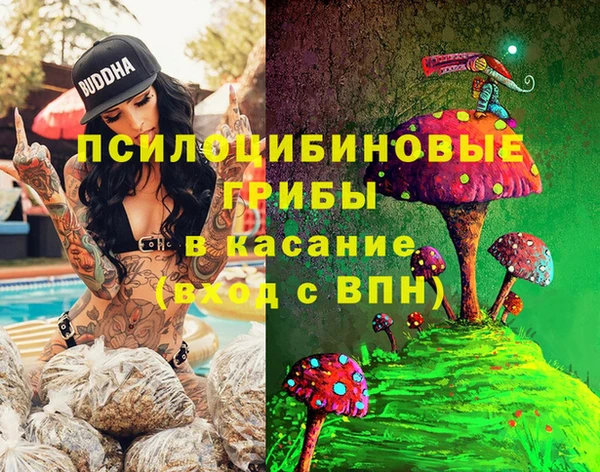 ешки Алексеевка
