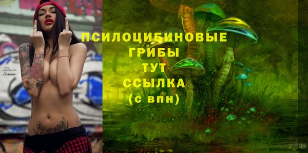 винт Аркадак