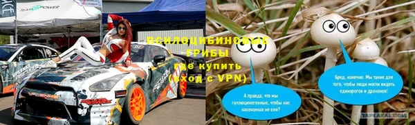 прущие грибы Алексин