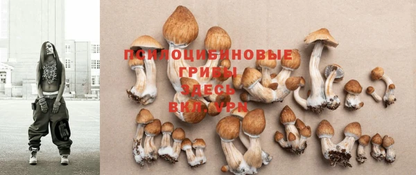 винт Аркадак