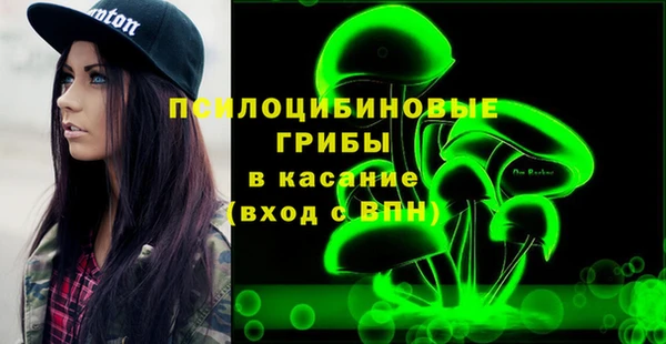 прущие грибы Алексин