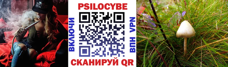 Галлюциногенные грибы мицелий Пыть-Ях